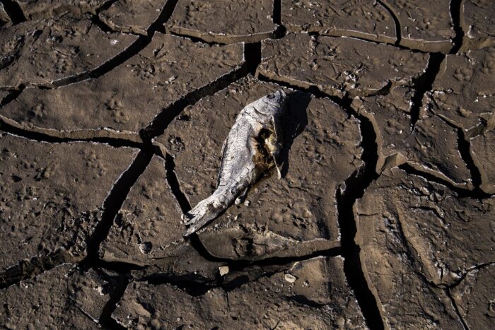 Sequía en más de la mitad de EE.UU.
