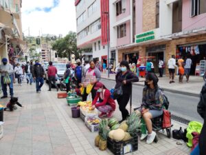 Canchón del mercado Reina del Cisne permanece cerrado a la venta informal