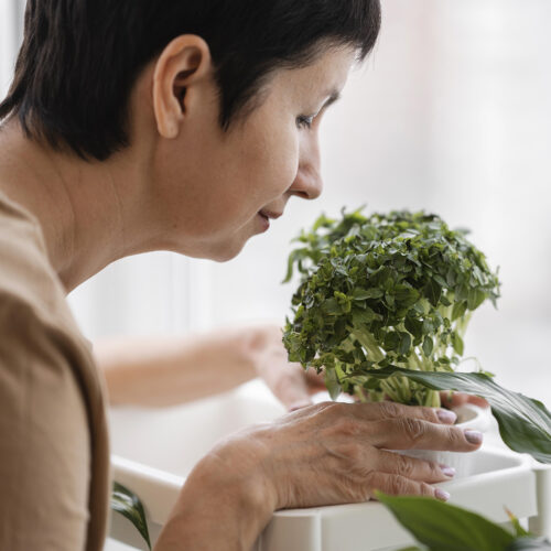 Pérdida del olfato: cómo  afecta, cómo se trata y  cómo convivir con ella