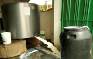 Millones de litros de leche desperdiciados por el paro