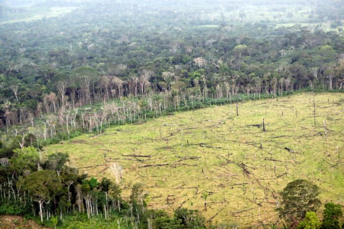 Deforestación. La pérdida de los bosques es un problema que debe ser enfrentado entre países.