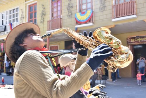 Artistas ya pueden postularse para participar en el FIAV 2022