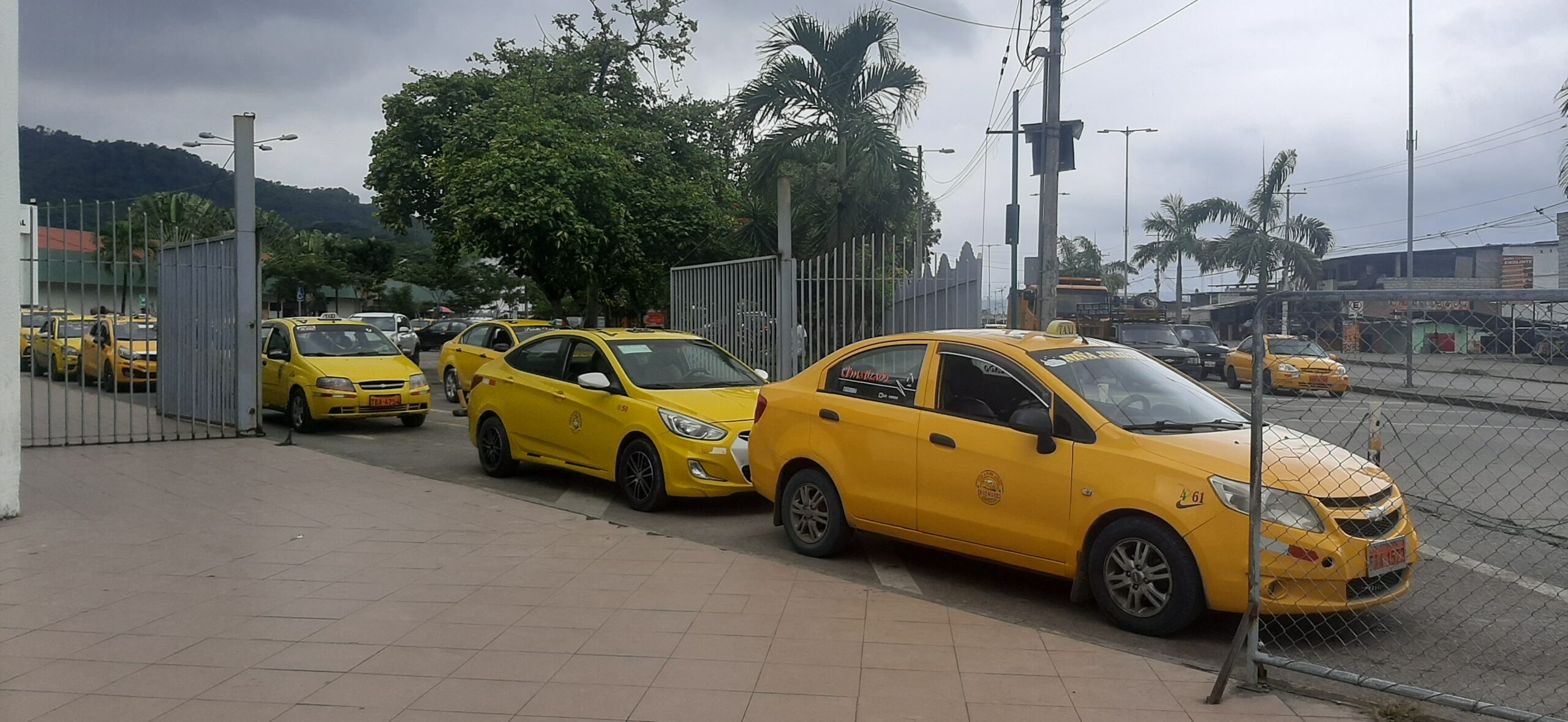 Sector del taxismo expuesto a la delincuencia