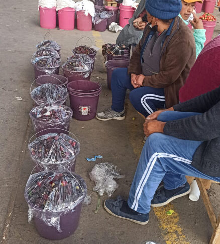 Productores ‘regalan’ la fresa y mora debido al paro