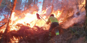 Conozca los cantones de Loja más vulnerables a incendios forestales