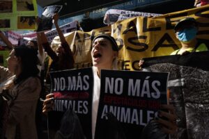 La Plaza México no podrá celebrar corridas de toros en lo que resta de 2022