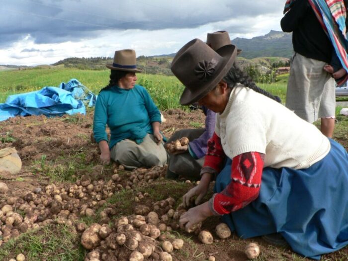 CAMPO. La agricultura es mayoritariamente de subsistencia en Ecuador.