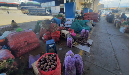 Cebolla peruana se toma  los mercados de Ambato
