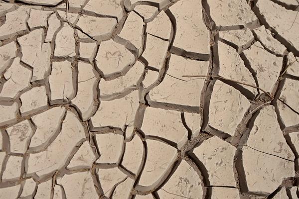 Megasequía por cambio climático y deforestación se agudizarán en América Latina