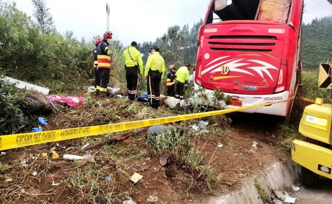 Conductor de bus que dejó 9 fallecidos tenía una licencia fraudulenta
