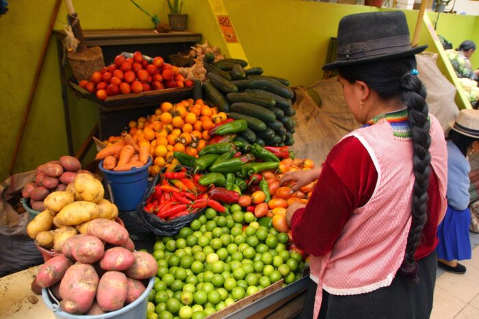 Los trabajadores ganan en promedio menos de $425 mensuales en 19 de 24 provincias del país