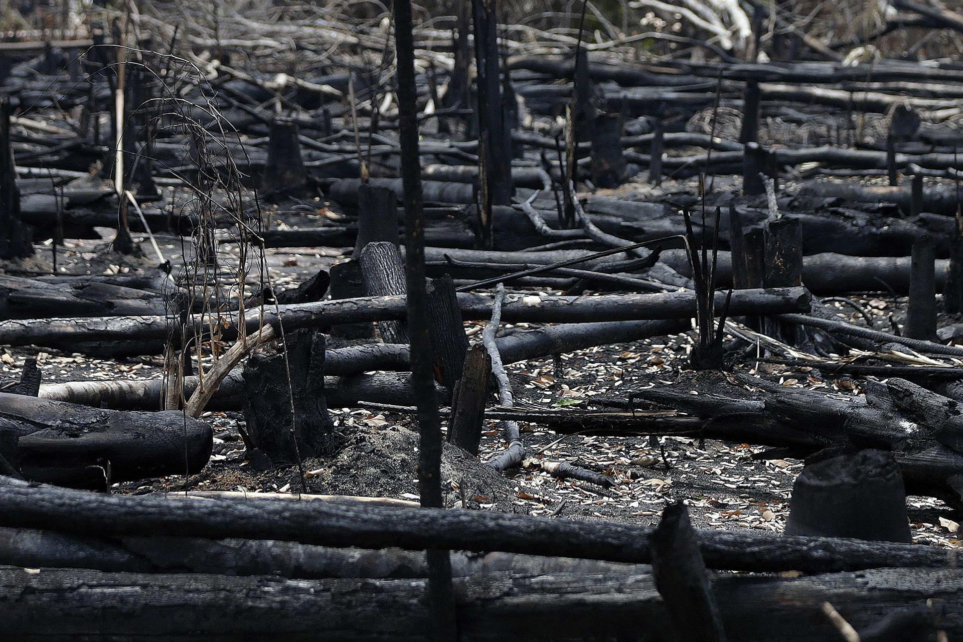 La deforestación vuelve a batir récords en la Amazonía brasileña