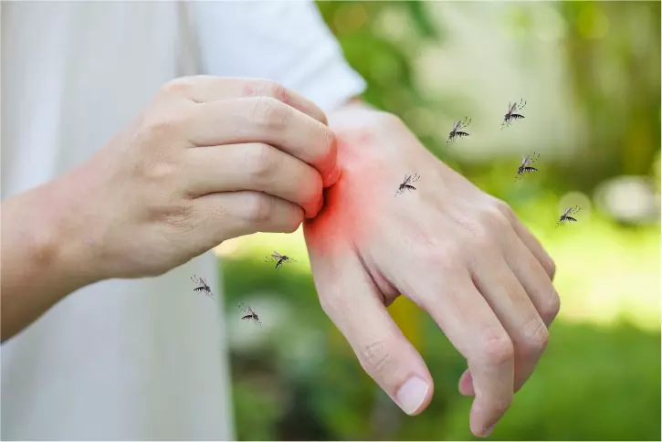 El dengue puede convertirse en síndrome de shock