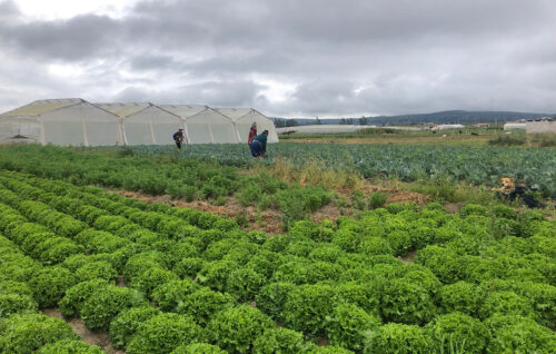 En sol y lluvia se realizan las actividades en el sector rural.