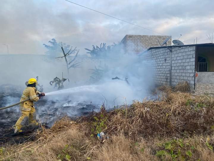 Inicia campaña para evitar incendios en los bosques del sur