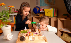 ¿Por qué la educación Montessori es la mejor opción para su hijo?