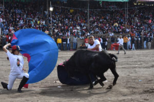 Mujeres toreras desafían al  peligro en el ruedo de San Pablo