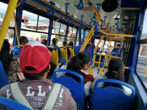 Romeriantes podrán hacer uso del bus urbano sin tarjeta