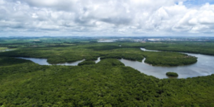 ¿Cómo Ecuador busca generar ingresos mientras conserva fuentes de agua y ecosistemas?