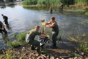 Berlín y Varsovia investigan desastre ecológico y muerte de peces en Oder