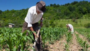 El campo y la ruralidad se quedan fuera de la reactivación económica