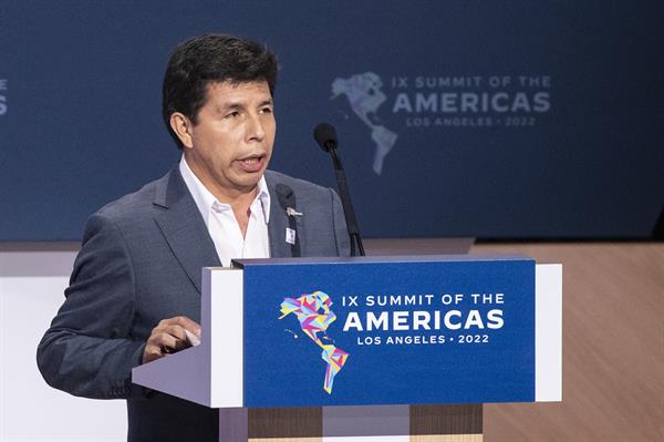 Argentina, Bolivia, Ecuador y México piden fortalecer la democracia en Perú