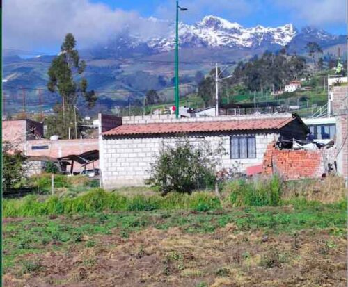 Los sembríos ya se encuentran marchitos por los cambios bruscos de temperatura.