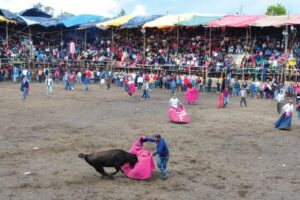 Cinco días de toros populares en Píllaro