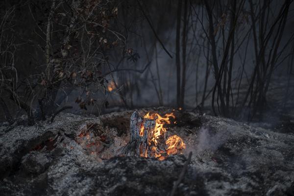 España suma ya 54 grandes incendios forestales, la cifra más alta desde 2012