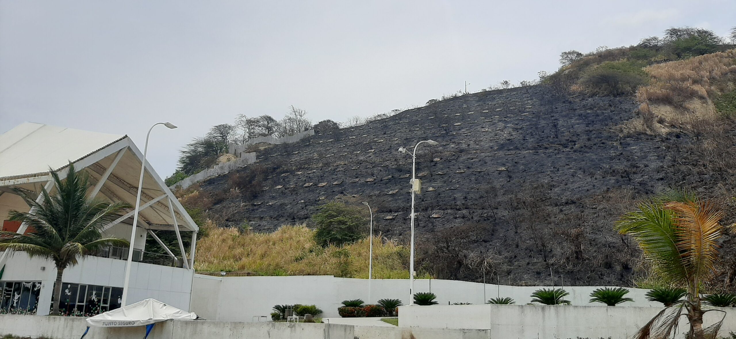 Incendio forestal se da por falta de precaución en Las Palmas