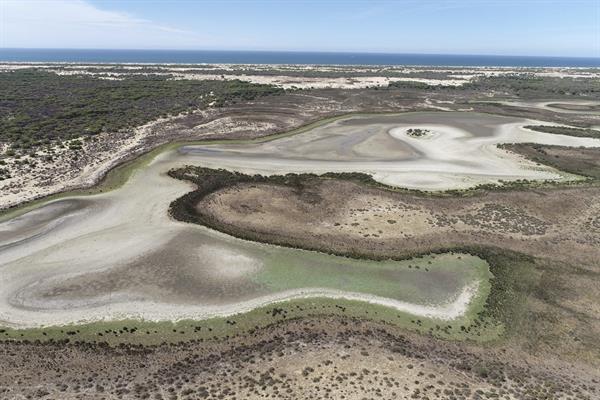 Sequía y sobreexplotación acaban con la laguna más grande de Doñana en España