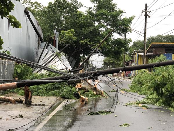 DESASTRE. Vista de unos postes eléctricos caídos hoy después del paso del huracán Fiona
