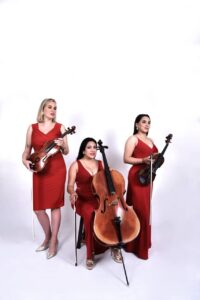 ‘Solistas Cuerdas OSL’ presenta la Sinfónica de Loja