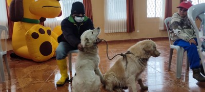 Campaña gratuita de esterilización de mascotas en Píllaro