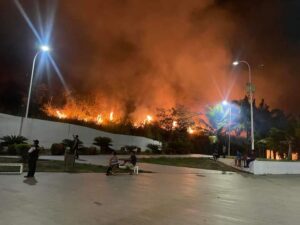 Incendio forestal en sector Las Palmas