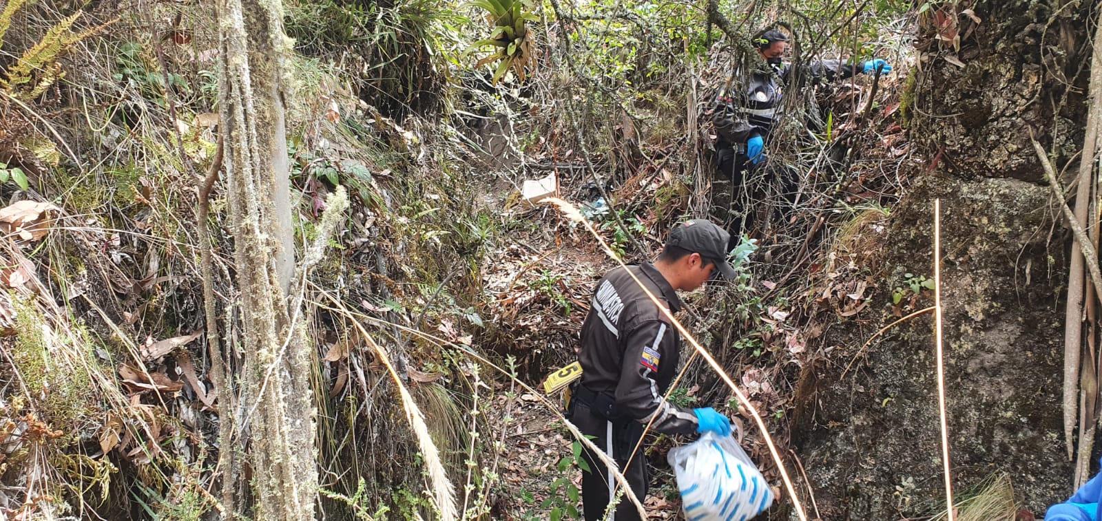 En la búsqueda de María Belén Bernal, Fiscalía halla restos óseos en el cerro Casitagua
