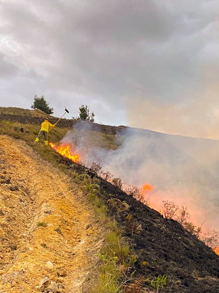 140 incendios forestales en lo que va del 2022