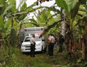 Siete muertes violentas en pocas horas