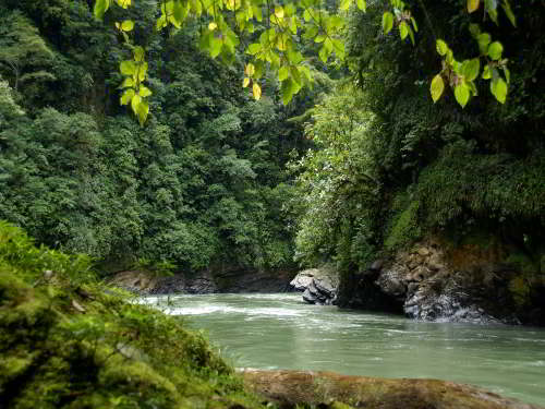 Es hora de conocer el Parque Nacional Podocarpus