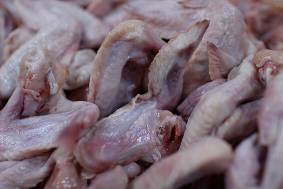 Estudio detecta Salmonella en la carne  de pollo que se vende en la ciudad