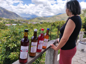 Vinos de sabores impulsa el turismo en Patate