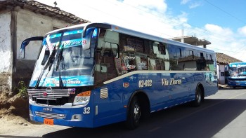 Dos cooperativas de transporte urbano de Ambato no cobrarán pasaje a adultos mayores