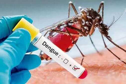 Recomendación. Está prohibido la automedicación en las personas que presentan síntomas de dengue.