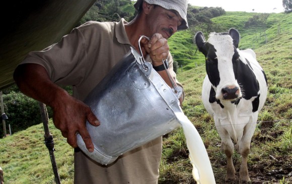 Producción. La leche es conocida como el sueldo o flujo de caja del campo.