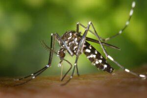 Perú lanza alerta epidemiológica ante 75 muertes y 58.000 casos de dengue