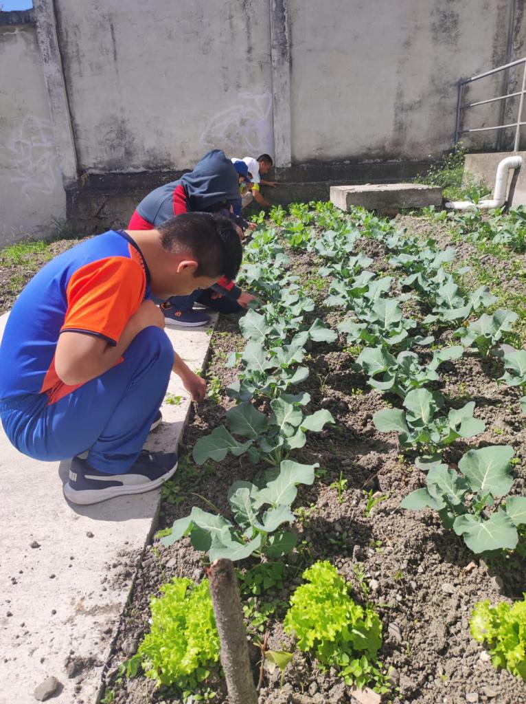 En Loja, personas con discapacidad cultivan productos de su huerto orgánico