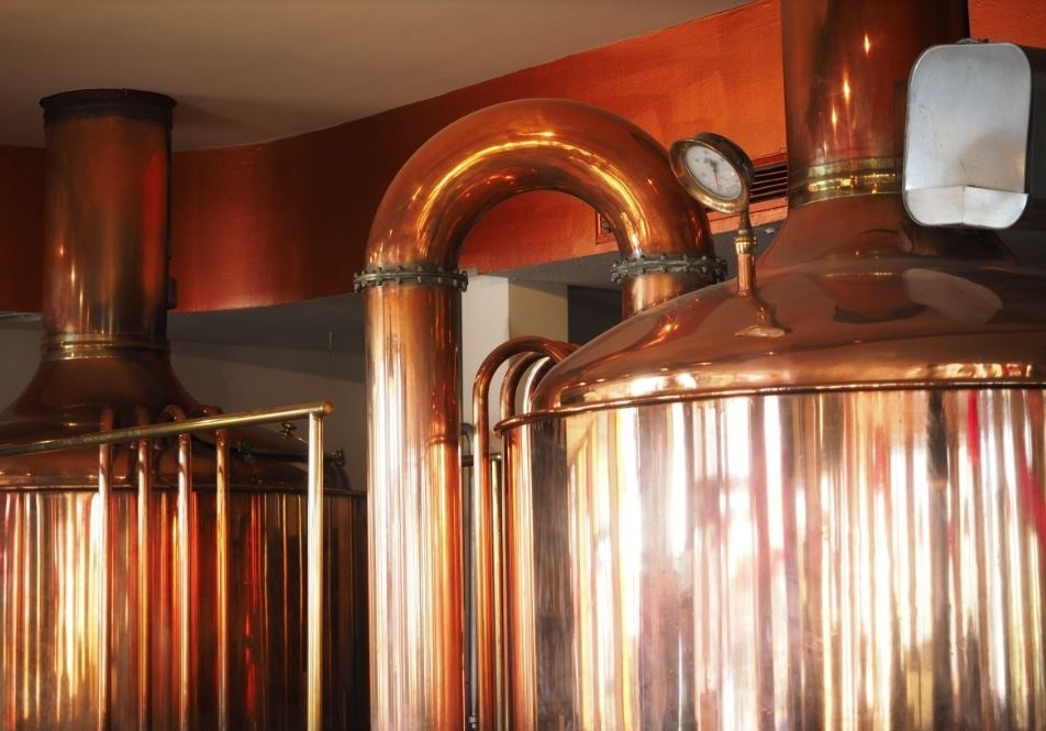Microbiólogos mejoran el sabor de la cerveza