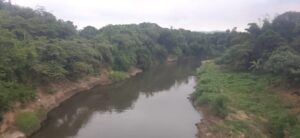 Daño ambiental al río Teaone