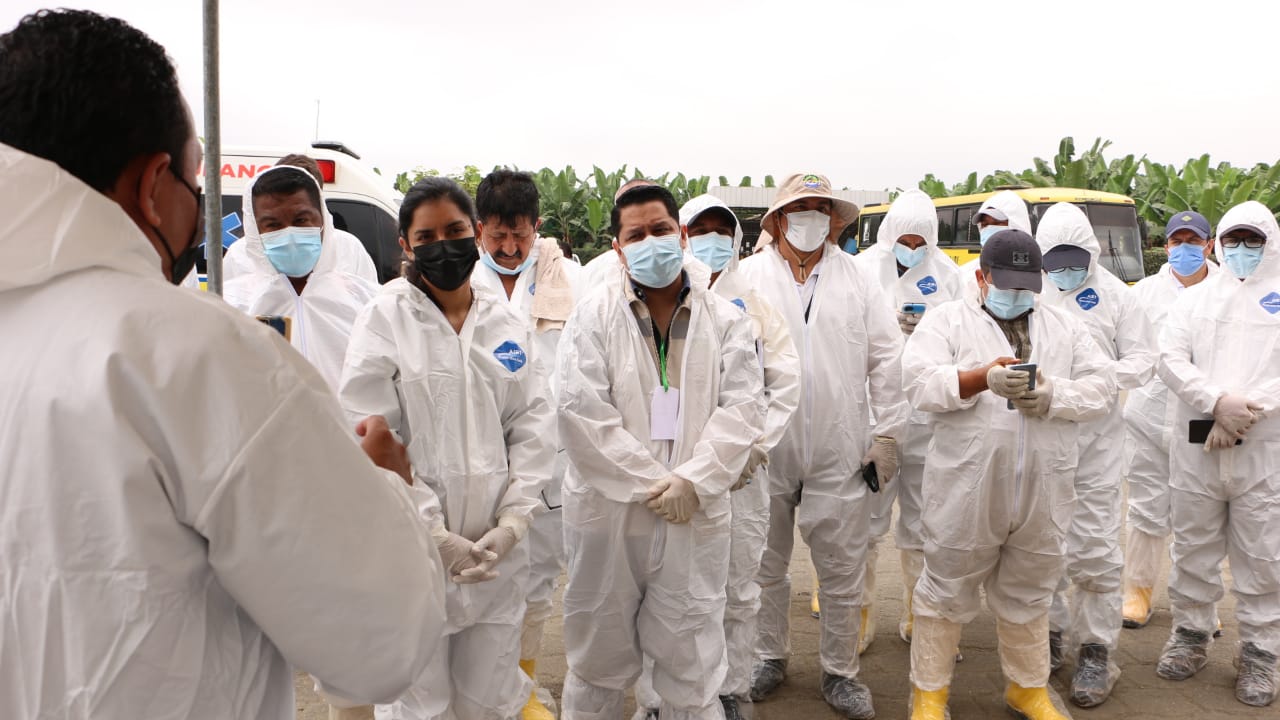 II Simulacro Nacional para Fusarium Raza 4 Tropical