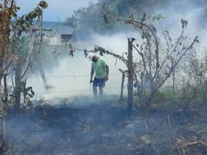 Incendio forestal en Camarones fue controlado por sus propios  habitantes